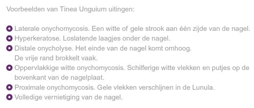 image (1)
